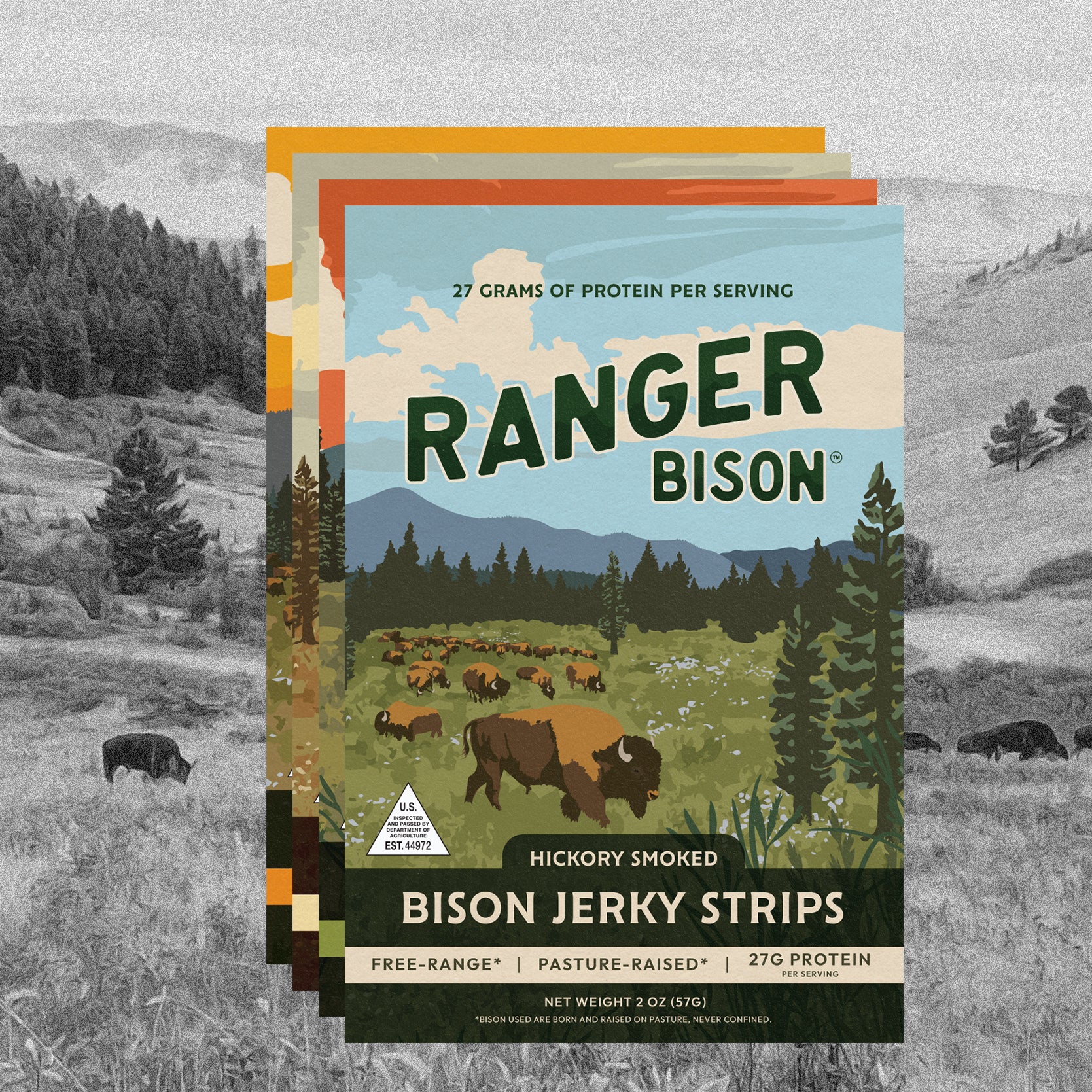 Featured – Ranger Bison